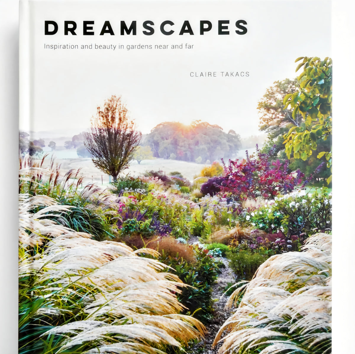 Dreamscapes Book