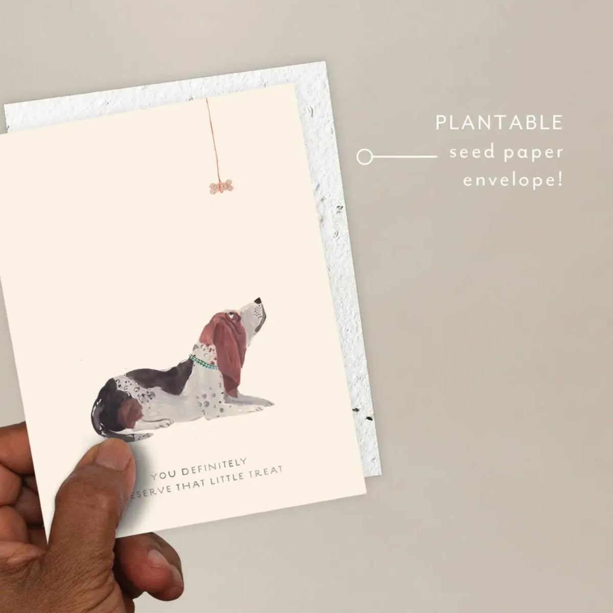 Seedlings Cards, Flourish, Basset Hound