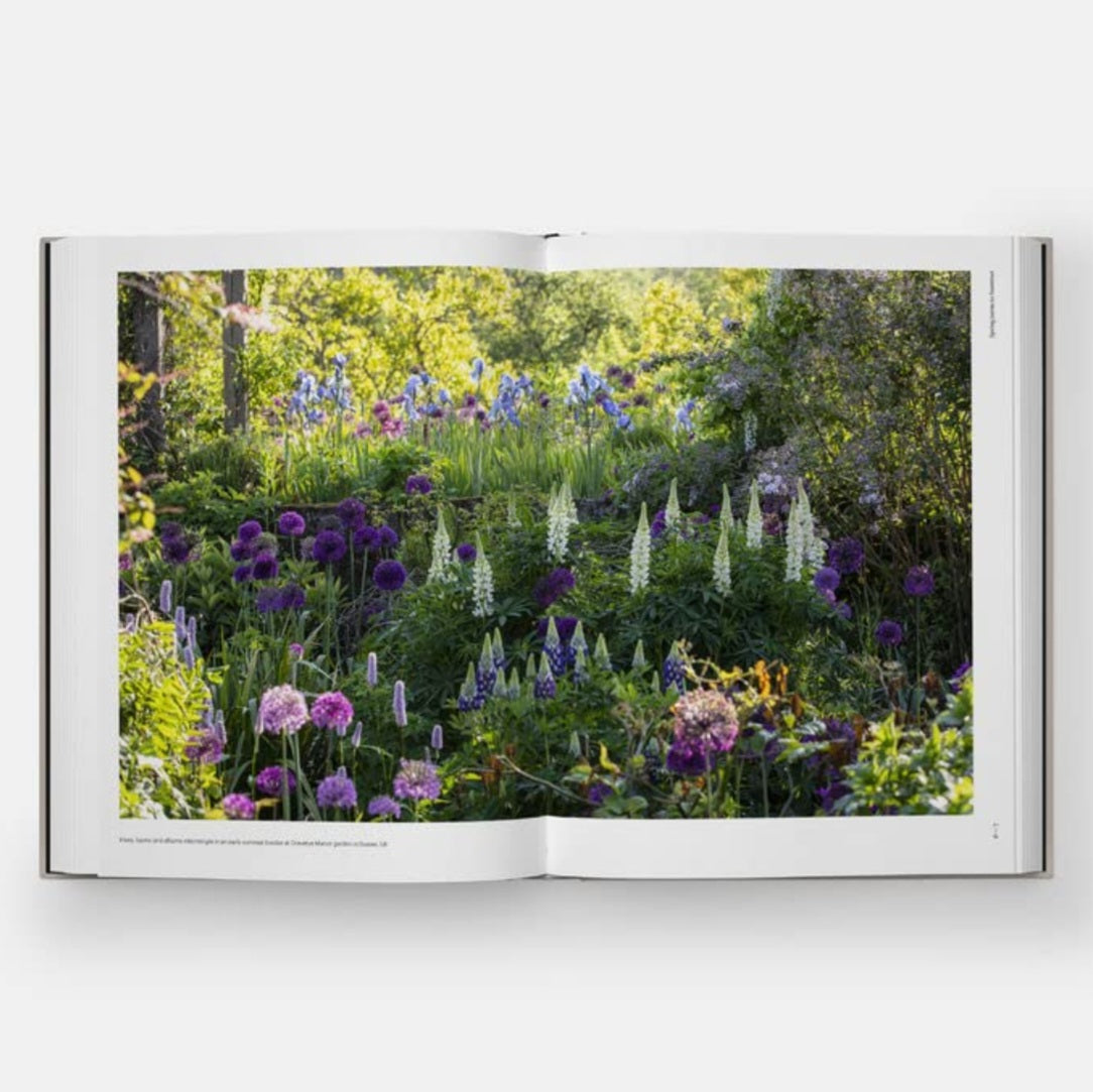 Seasonal Gardener: Creative Planting Combinations