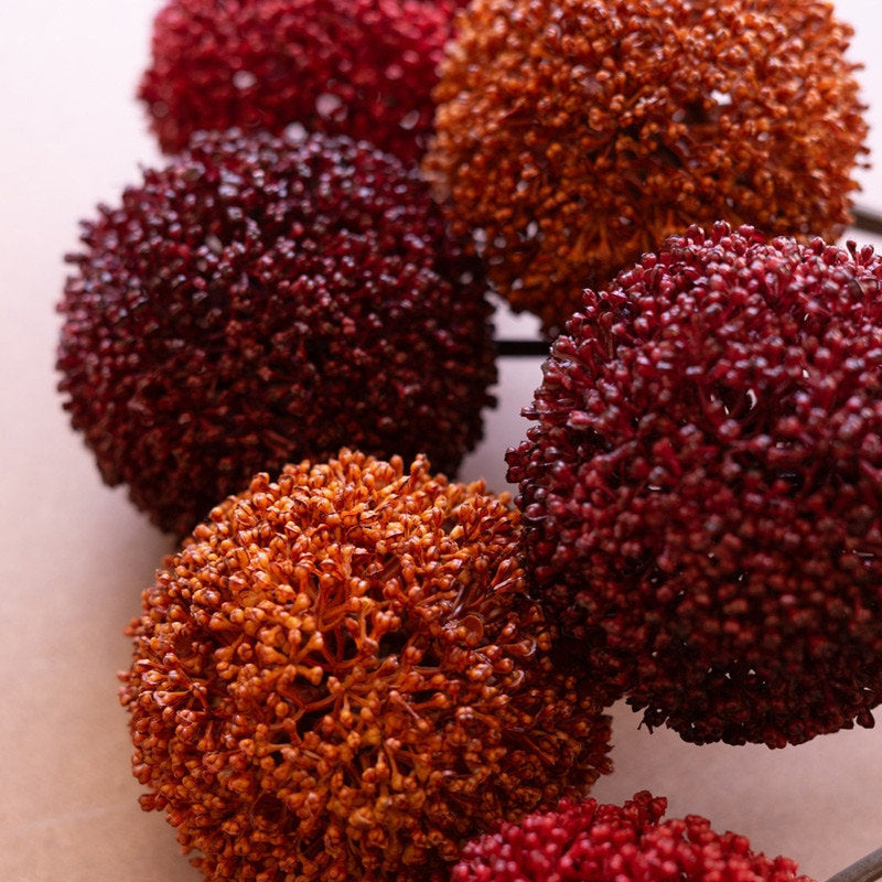 Allium Ball Stem 24
