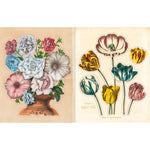 John Derian Sticker Book 2