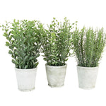 Artificial Herbs in Cement Pots, Assorted Styles, Priced Individually 1