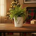 Deer Planter, Gold Wash, Cement, 5.7 in. 2
