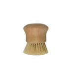 Beech Wood Brush, Natural, 3 in. 1