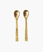 Salt & Pepper Spoons, Brass Finish 1