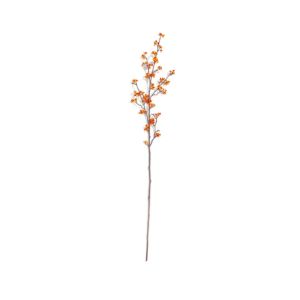 Bittersweet Branch, 49 x 8 in. featuring delicate orange berries on a slender branch, perfect for adding a natural touch to home decor or seasonal gifts from Knotty and Board.