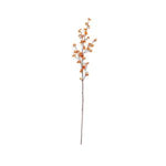 Bittersweet Branch, 49 x 8 in. featuring delicate orange berries on a slender branch, perfect for adding a natural touch to home decor or seasonal gifts from Knotty and Board. 1