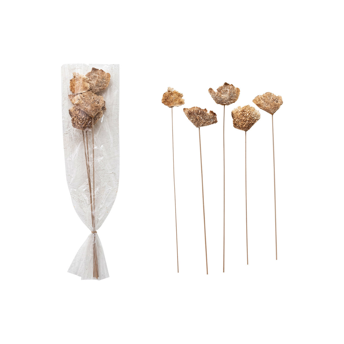 Dried Natural Mushroom Bunch, 23