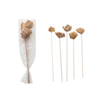 Dried Natural Mushroom Bunch, 23