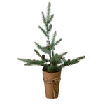 Evergreen with Pinecones, Frosted, 21.25 in. 1