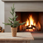 Evergreen with Pinecones, Frosted, 21.25 in. 2