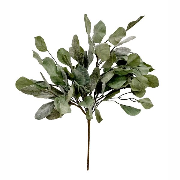 Summer Splendor Bush, 21 in.
