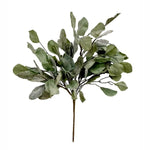 Summer Splendor Bush, 21 in. 1