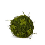 Moss Ball, 10 in. with vibrant green texture, perfect for adding natural decor accents to any room, available from Knotty and Board with unique gifts for kitchen and living spaces. 1