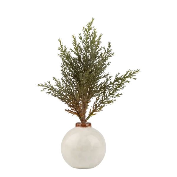 Bristle Tree in Ceramic Ornament Pot, Antique White, 10 in.