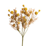 Ball Botanical, Yellow, 21 in. 1