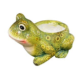 Hazel Frog Planter, 6.8 X 5.3 X 4 in. featuring a detailed green frog design, perfect for adding whimsical decor or unique gifts from Knotty and Board, every room needs a little Knotty and Board. 1