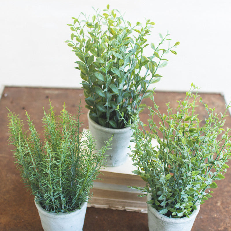 Artificial Herbs in Cement Pots, Assorted Styles, Priced Individually