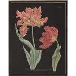 Vintage Tulip Flower B Artwork, 12 X 16 in. 1