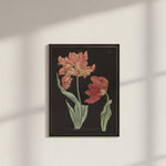 Vintage Tulip Flower B Artwork, 12 X 16 in. 2