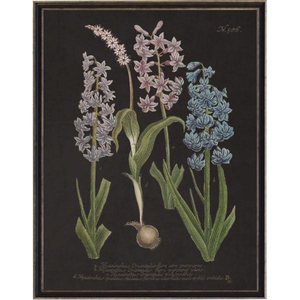 Vintage Flower I Artwork, 8 X 10 in.