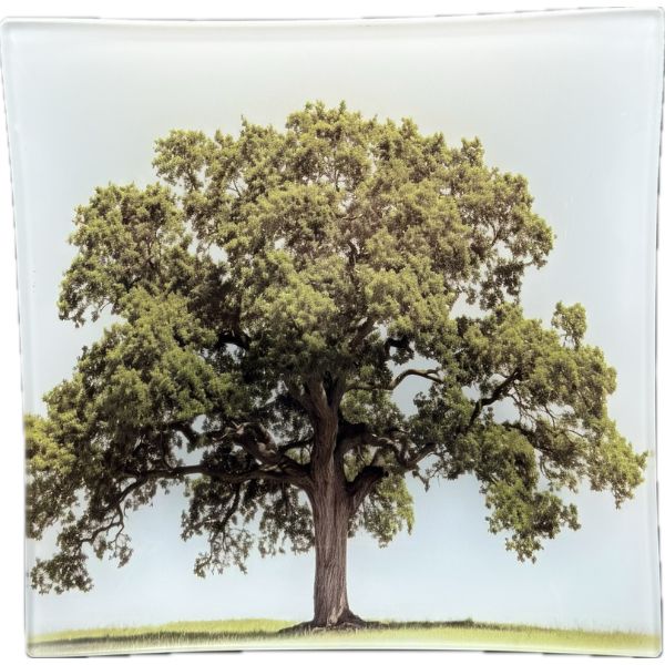 Live Oak Tree Plate, 7.75 in.