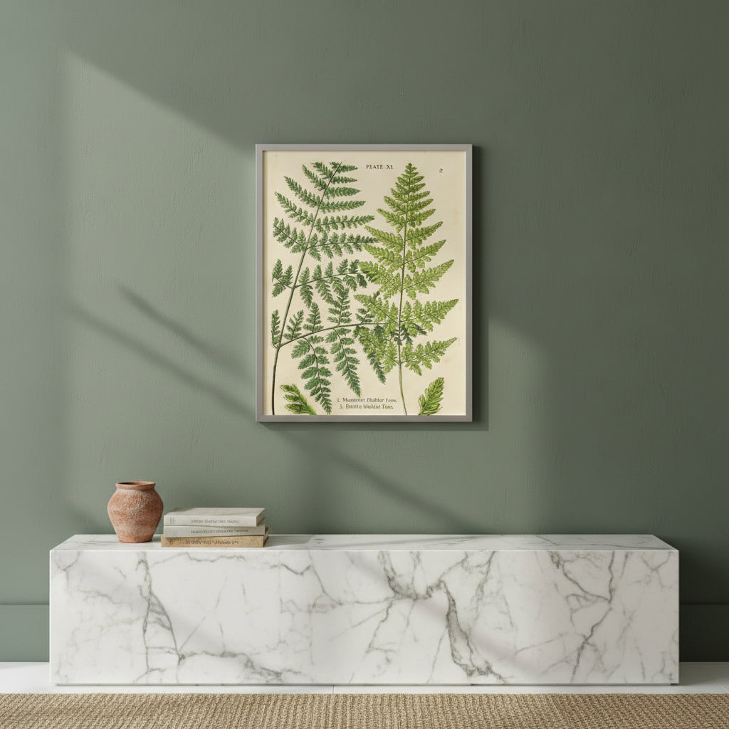 Vintage Shadowbox Fern Collage A, 16 X 12