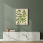 Vintage Shadowbox Fern Collage A, 16 X 12 2
