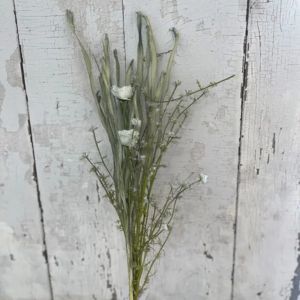 Wildflower Spray, 20 in., Sage with delicate white blooms and green foliage displayed against rustic white wood, perfect for adding natural decor charm from Knotty and Board.