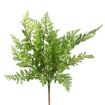 Fern Stem, 18 in. Green with delicate, detailed leaves perfect for adding natural greenery to your home decor, available from Knotty and Board, Every Room Needs A Little Knotty and Board. 1