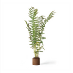 Sword Fern Drop-In plant with lush green fronds in a compact soil base, perfect for adding natural decor to any room, offered by Knotty and Board, shipping nationwide. 1