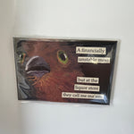 Funny Magnet, Liquor Store 2