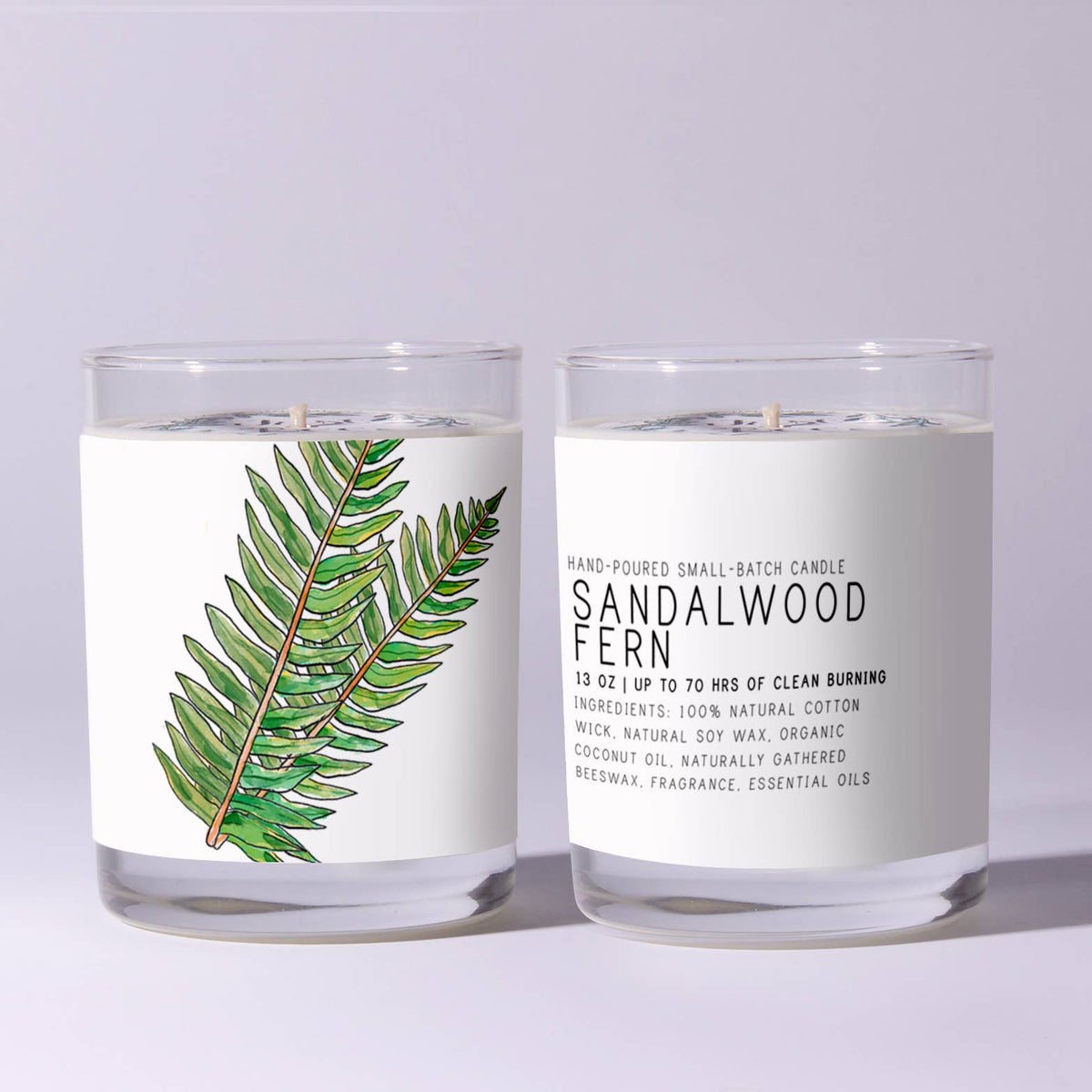 Just Bee Sandalwood Fern Candle, 7 oz. displayed in clear glass with a green fern illustration and natural cotton wick, perfect for decor, gifts, and cozy ambiance from Knotty and Board.