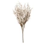 White Dance Plant Bush, 14.5 in. with delicate white textured foliage, perfect for adding elegant decor and gift accents to kitchen, dining, or entertaining spaces from Knotty and Board. 1