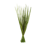 Basil Wild Flax Grass, 28-32 in. bundle of natural green decorative grass ideal for adding a fresh touch to kitchen or dining decor, available from Knotty and Board. 1