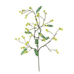 Botanica #3519, 48 in. 1