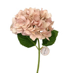 Hydrangea Bloom, 19 in., Rustic Mauve Blush artificial flower with soft dusty pink petals and green leaves, perfect for rustic home decor and gifts from Knotty and Board. 1