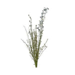 Wildflower Spray, 24 in., Carolina, featuring delicate green and muted blooms, perfect for adding natural charm to home decor or gifts from Knotty and Board. 1