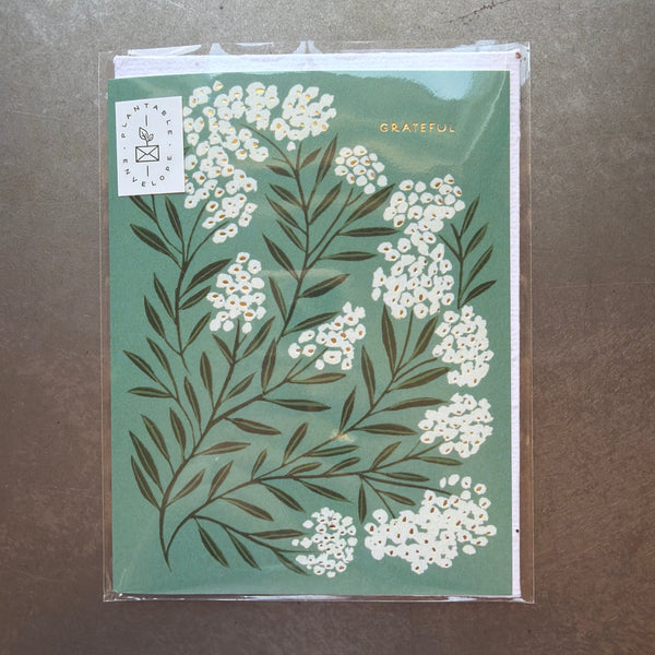 Seedlings Cards, Grateful Thank You