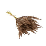 Mini Pampas Grass Bundle, Brown with delicate feathery plumes tied together, perfect for adding natural decor accents to kitchen, dining, or gift settings from Knotty and Board. 1