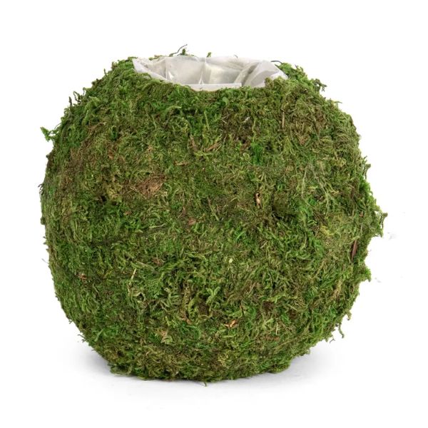 Round Moss Planter with Sewn Liner, 6.5 in., featuring a lush green moss exterior perfect for adding natural decor to any room, from Knotty and Board, your go-to for unique gifts.