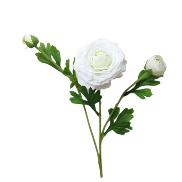 White Ranunculus Bloom, 18 in., White with green leaves, perfect for elegant decor or thoughtful gifts, adding a fresh touch to any room from Knotty and Board.