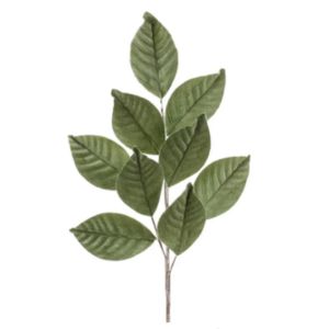 Magnolia Leaf Spray, 27.5 in.
